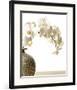 Orchid Branch-Stephane De Bourgies-Framed Art Print