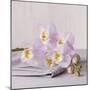 Orchid Calm-Assaf Frank-Mounted Giclee Print