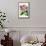 Orchid: Cattleya Harrisoniae-William Forsell Kirby-Framed Stretched Canvas displayed on a wall