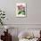Orchid: Cattleya Harrisoniae-William Forsell Kirby-Stretched Canvas displayed on a wall