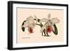 Orchid: Cattleya Mossia Vestalis-null-Framed Art Print