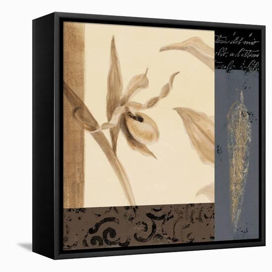 Orchid Collage II-Lanie Loreth-Framed Stretched Canvas