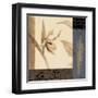 Orchid Collage II-Lanie Loreth-Framed Art Print