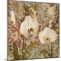 Orchid Crackle II-Tania Bello-Mounted Giclee Print