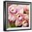 Orchid (Cymbidium Hybrid)-Maria Mosolova-Framed Premium Photographic Print