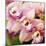 Orchid (Cymbidium Hybrid)-Maria Mosolova-Mounted Premium Photographic Print