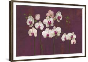 Orchid Dance-Mimi Roberts-Framed Giclee Print