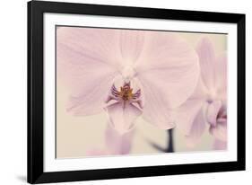 Orchid Dream-John Harper-Framed Giclee Print