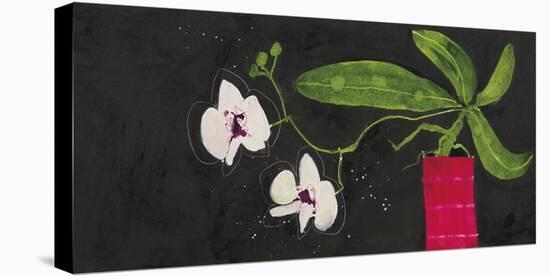 Orchid Duet-Susan Brown-Stretched Canvas