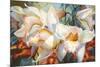 Orchid Fandango-Elizabeth Horning-Mounted Giclee Print