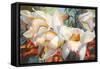 Orchid Fandango-Elizabeth Horning-Framed Stretched Canvas