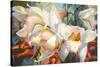 Orchid Fandango-Elizabeth Horning-Stretched Canvas