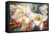 Orchid Fandango-Elizabeth Horning-Framed Stretched Canvas