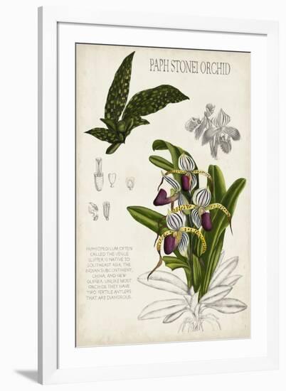 Orchid Field Notes I-Naomi McCavitt-Framed Art Print