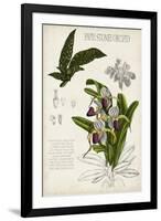 Orchid Field Notes I-Naomi McCavitt-Framed Art Print