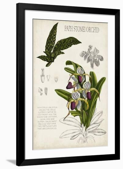 Orchid Field Notes I-Naomi McCavitt-Framed Art Print