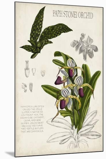 Orchid Field Notes I-Naomi McCavitt-Mounted Art Print