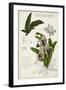 Orchid Field Notes I-Naomi McCavitt-Framed Art Print