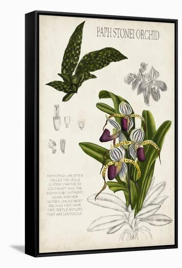 Orchid Field Notes I-Naomi McCavitt-Framed Stretched Canvas