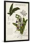 Orchid Field Notes I-Naomi McCavitt-Framed Art Print