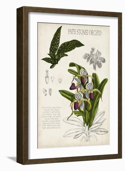 Orchid Field Notes I-Naomi McCavitt-Framed Art Print