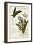 Orchid Field Notes I-Naomi McCavitt-Framed Art Print