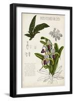 Orchid Field Notes I-Naomi McCavitt-Framed Art Print