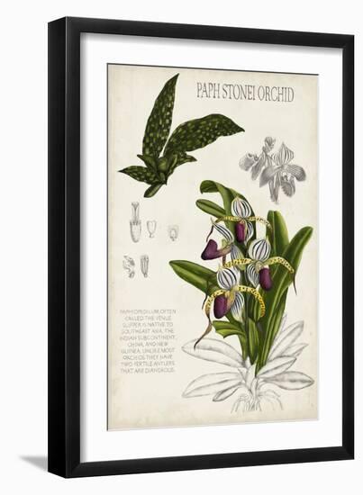 Orchid Field Notes I-Naomi McCavitt-Framed Art Print