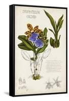 Orchid Field Notes II-Naomi McCavitt-Framed Stretched Canvas