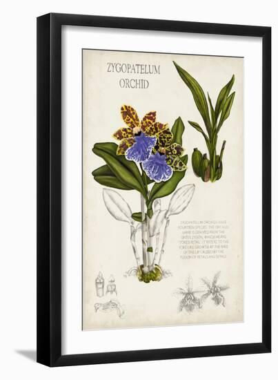 Orchid Field Notes II-Naomi McCavitt-Framed Art Print