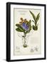 Orchid Field Notes II-Naomi McCavitt-Framed Art Print