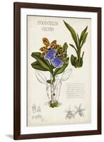 Orchid Field Notes II-Naomi McCavitt-Framed Art Print