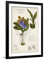 Orchid Field Notes II-Naomi McCavitt-Framed Art Print