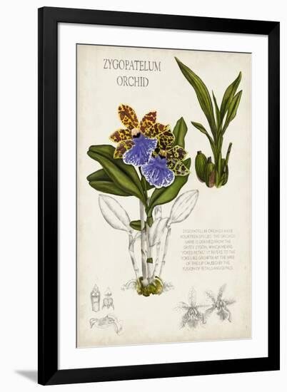 Orchid Field Notes II-Naomi McCavitt-Framed Art Print