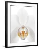 Orchid Flower (family Orchidaceae)-Gavin Kingcome-Framed Photographic Print