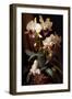 Orchid Flowers-Vivienne Dupont-Framed Art Print