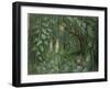 Orchid Hunters of Brazil, 1950 (oil on canvas)-null-Framed Giclee Print