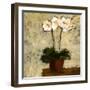 Orchid I-Bagnato Judi-Framed Art Print