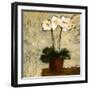 Orchid I-Bagnato Judi-Framed Art Print