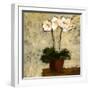 Orchid I-Bagnato Judi-Framed Art Print