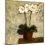 Orchid I-Bagnato Judi-Mounted Art Print