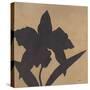 Orchid I-Robert Charon-Stretched Canvas