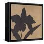 Orchid I-Robert Charon-Framed Stretched Canvas