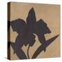 Orchid I-Robert Charon-Stretched Canvas