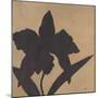 Orchid I-Robert Charon-Mounted Art Print