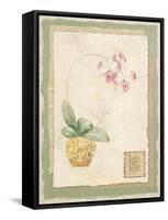 Orchid I-Pamela Gladding-Framed Stretched Canvas