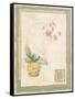 Orchid I-Pamela Gladding-Framed Stretched Canvas