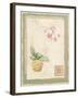 Orchid I-Pamela Gladding-Framed Art Print