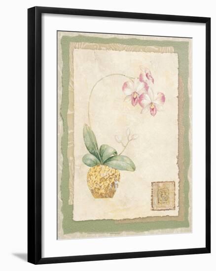 Orchid I-Pamela Gladding-Framed Art Print