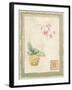 Orchid I-Pamela Gladding-Framed Art Print